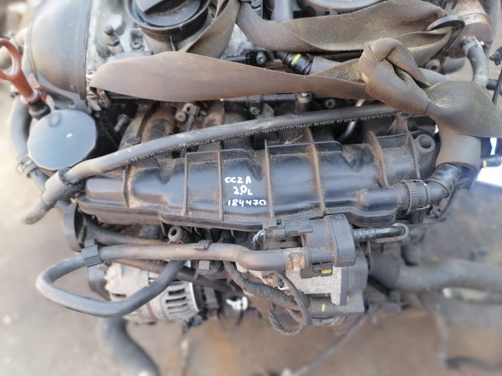 Коллектор впускной AUDI A3, SKODA OCTAVIA 1Z, VOLKSWAGEN GOLF 5/5+/6, JETTA 5/6, PASSAT B6/B7/CC, TIGUAN 2,0 CCZA 2008- б/у