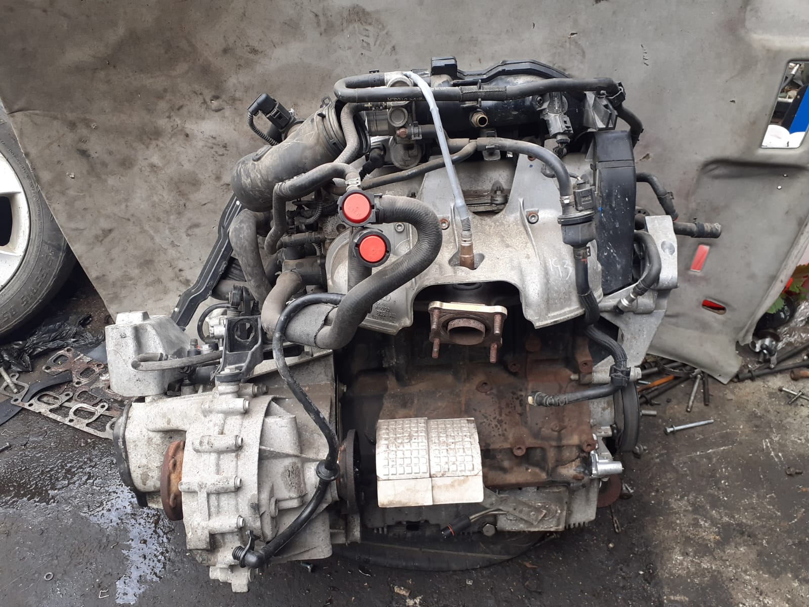 Двигатель VOLKSWAGEN CADDY, TOURAN BSX 2,0 80KW/109лс 2004- б/у